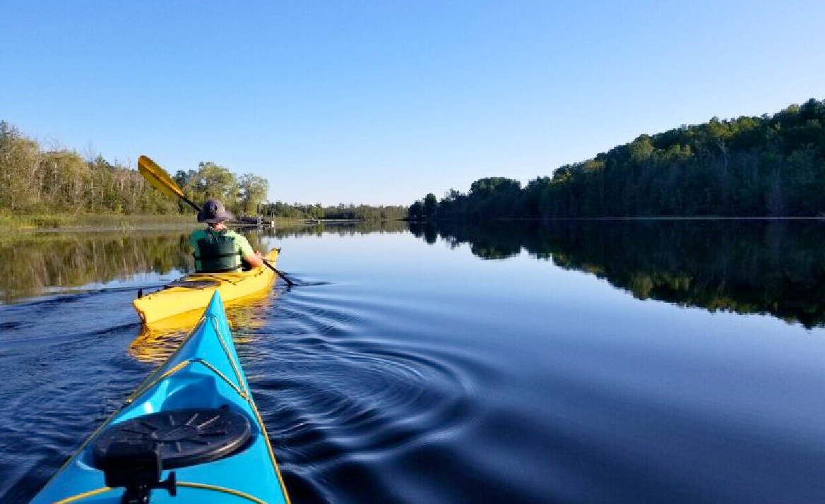 nature1-100-Aug-09-2024-02-54-19-0118-AM