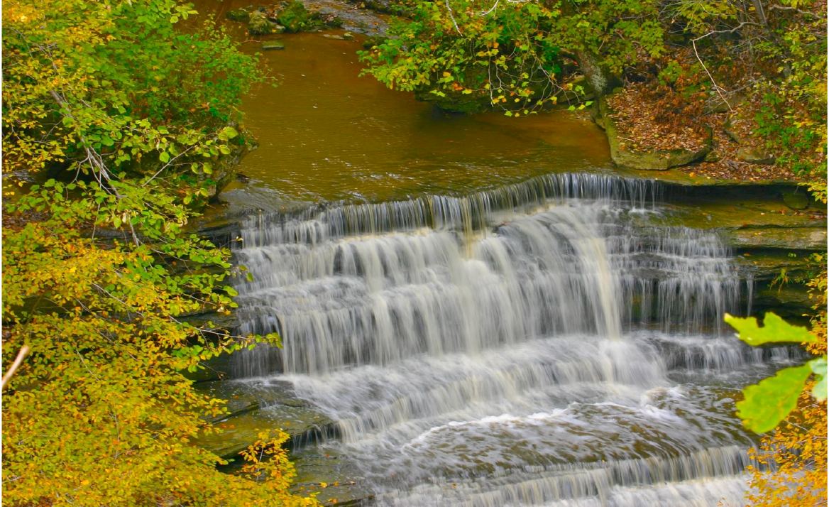 nature2-Aug-07-2024-03-20-01-5443-PM