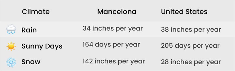 t1-100-Aug-09-2024-02-27-13-0697-AM