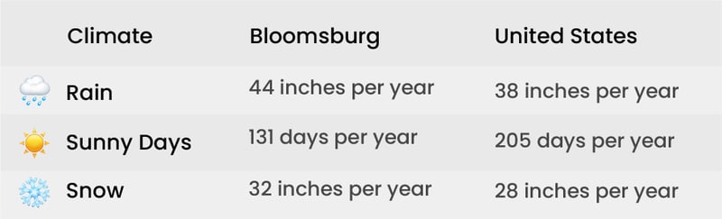 t1-100-Jun-19-2024-06-46-57-7675-PM