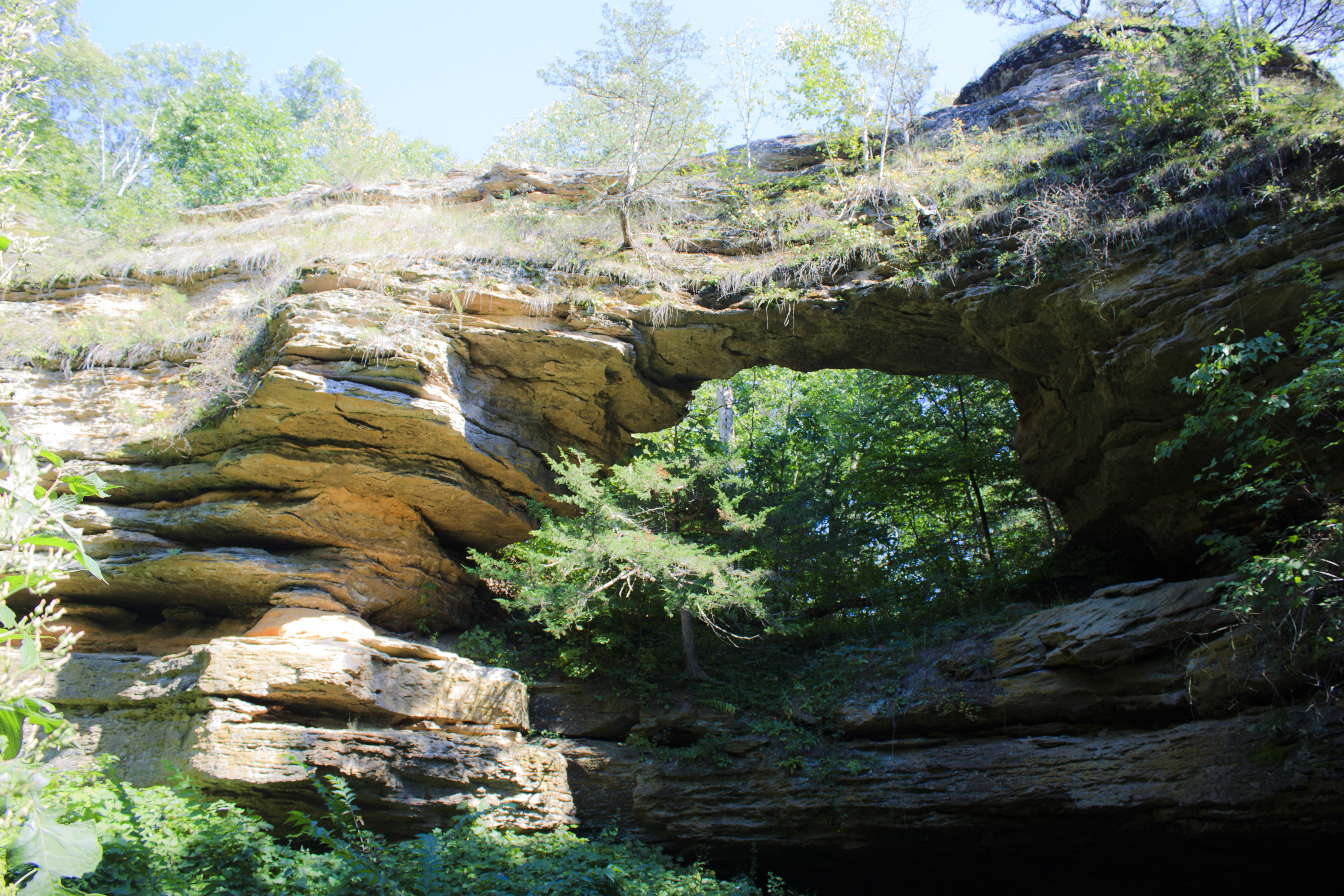 Natural-State-Bridge